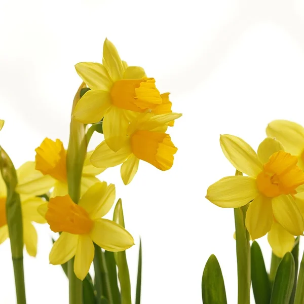 AG捕鱼捕鱼游戏